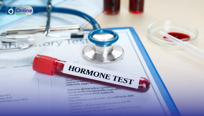 Lesson 11: Positive and Negative Feedback with Reference to Hormones